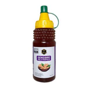 Composto-Gengibre Mel com Gengibre e Própolis 270g l Composto l Apis Blood