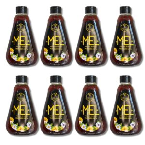 Caixa 8 Unid. Triangular 1080g – Mel Apis Blood