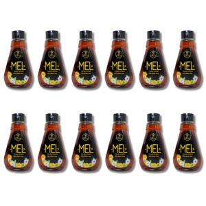 Caixa 12 Unid. Triangular 500g – Mel Apis Blood